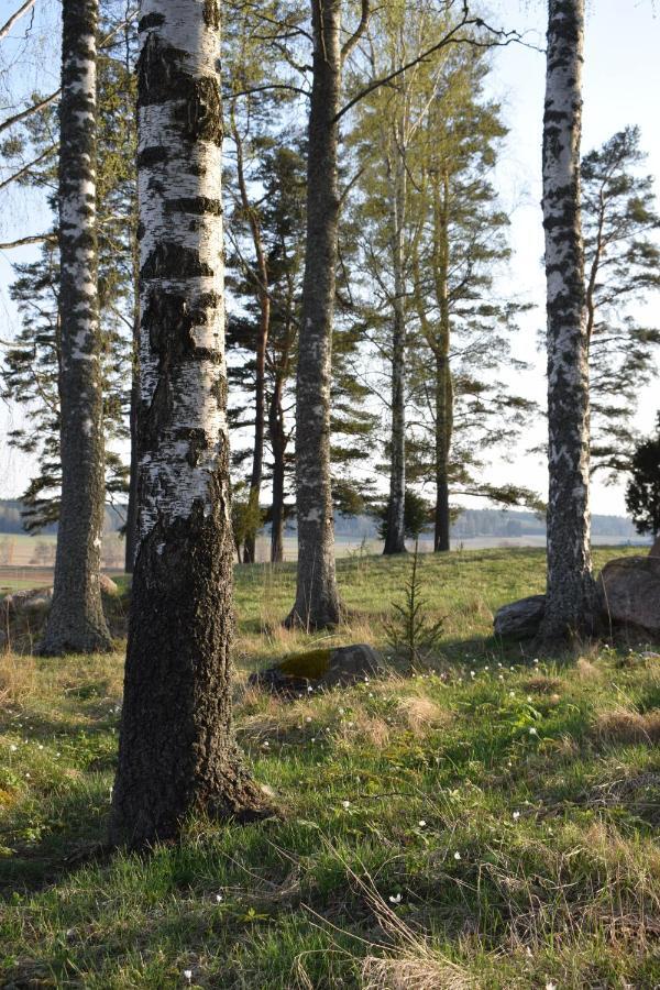 Villa Skogsbacka Расеборг Экстерьер фото